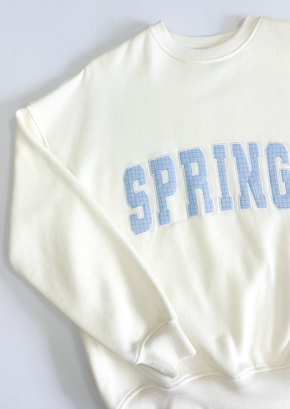 Springy Blue Gingham Sweatshirt - Clothe Boutique