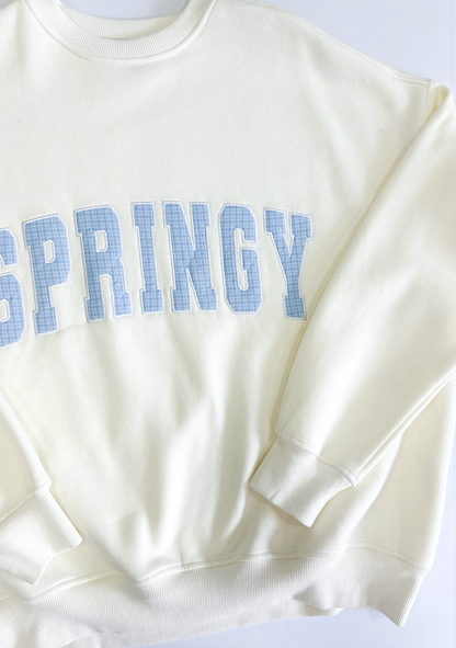 Springy Blue Gingham Sweatshirt - Clothe Boutique