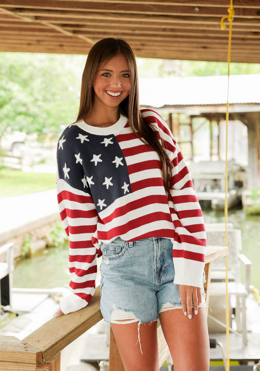 American Flag Knit Crewneck