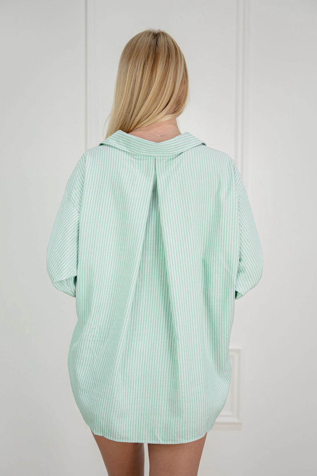Double Stripe Collared Shirt Green