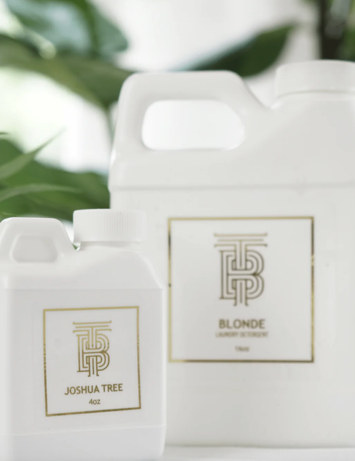 Laundry Detergent 32oz - Blonde