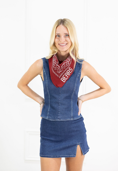 BEARS Stitch Bandana