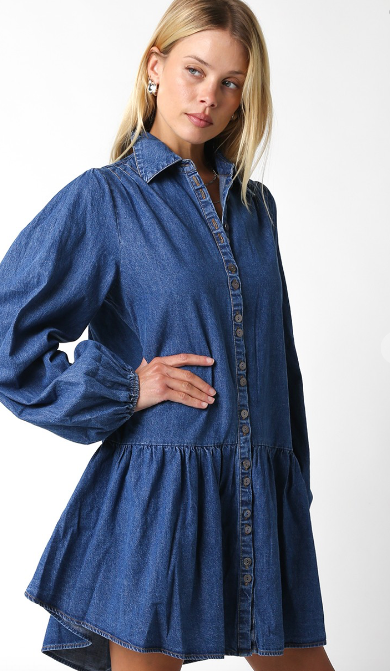 Savannah Denim Shirt Dress