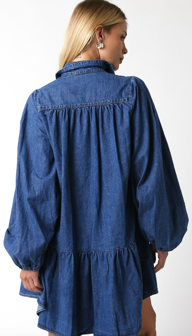 Savannah Denim Shirt Dress