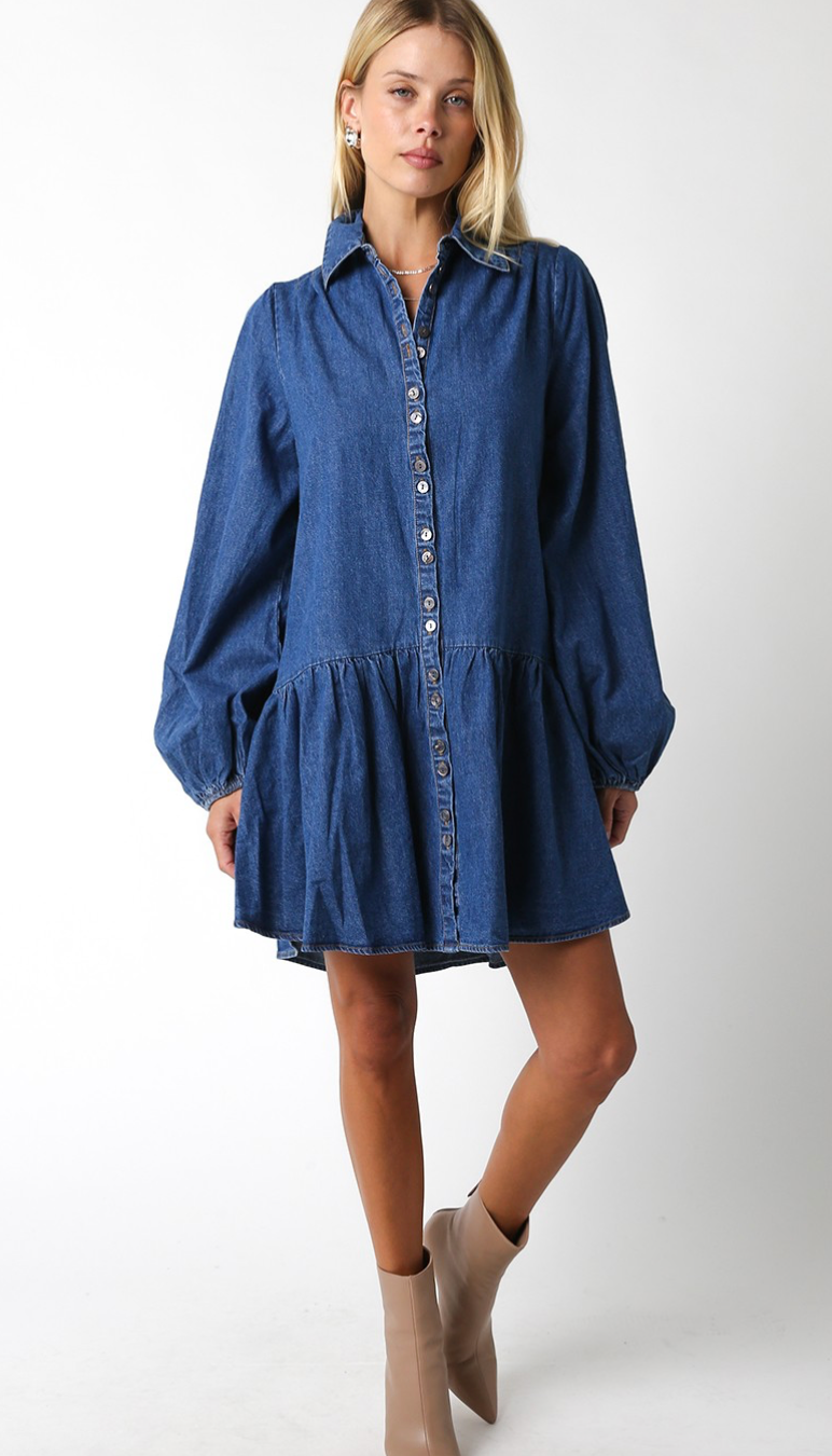 Savannah Denim Shirt Dress