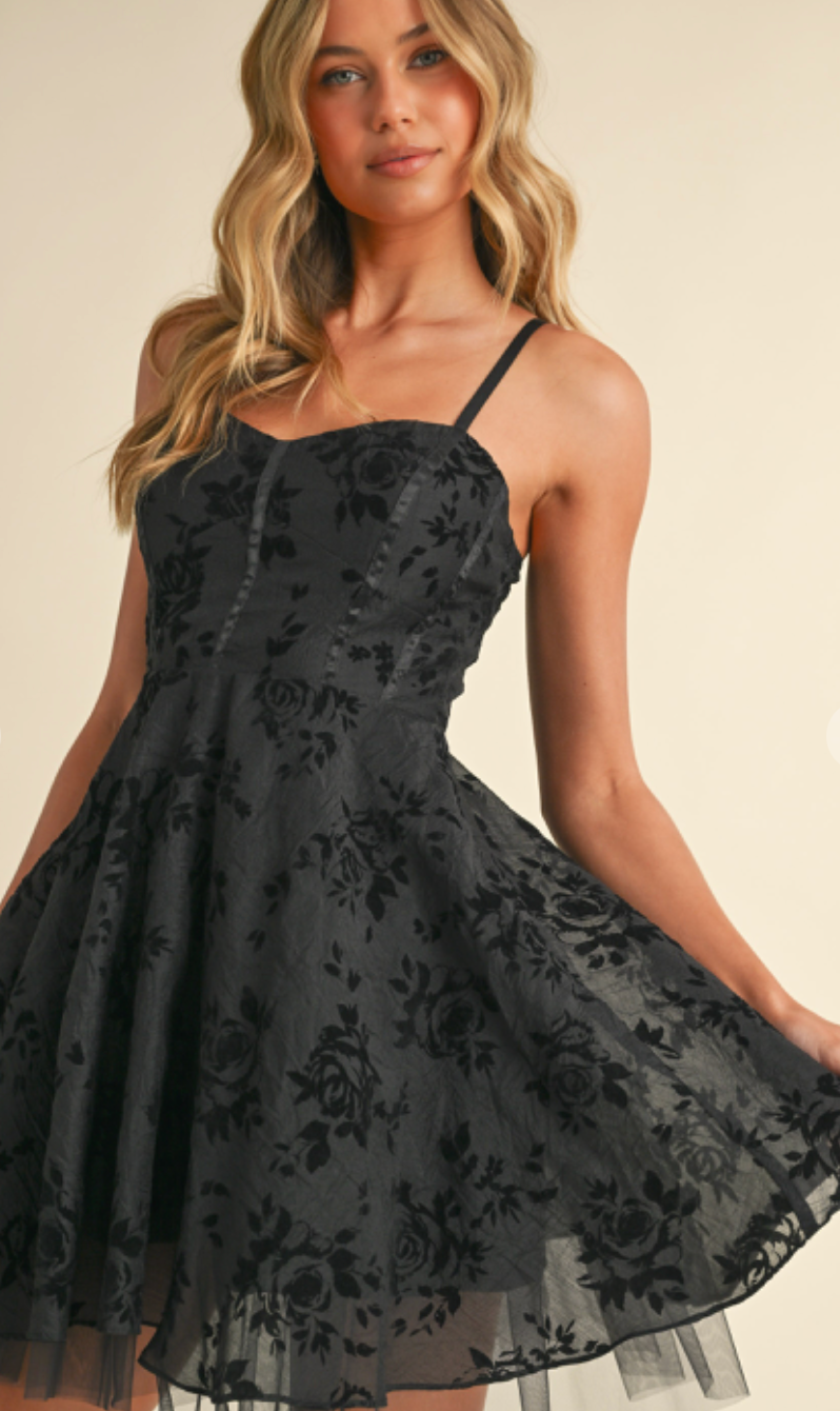 Jamie Black Organza Dress