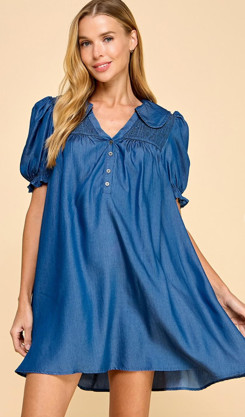 Darcey Denim Collar Dress
