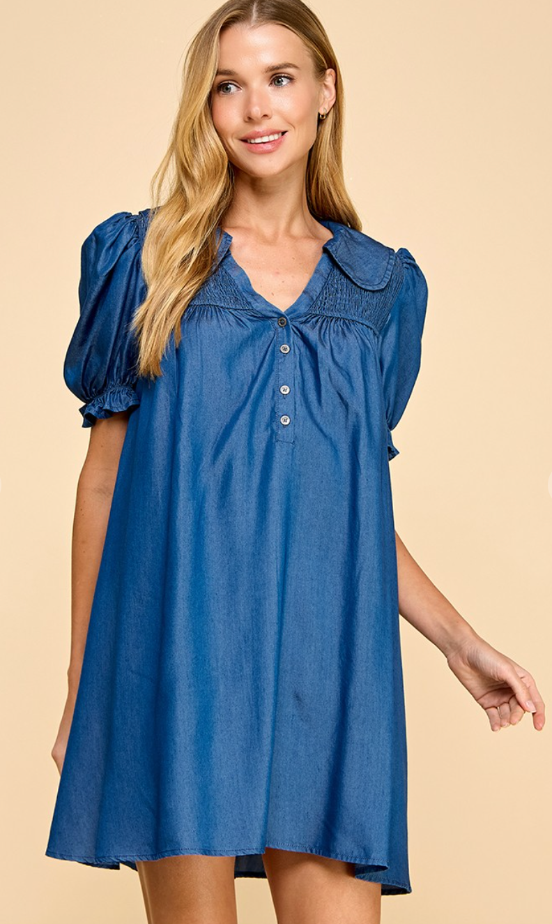 Darcey Denim Collar Dress