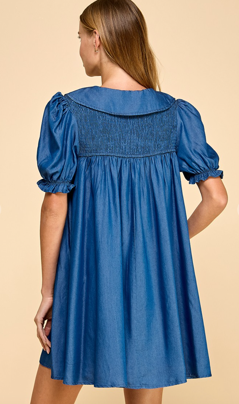 Darcey Denim Collar Dress