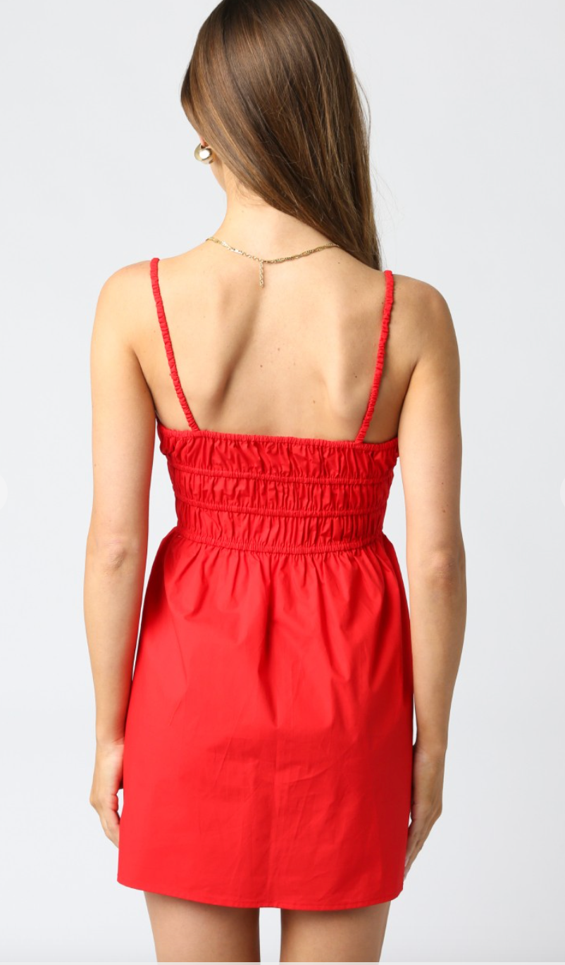 Delaney Red Dress