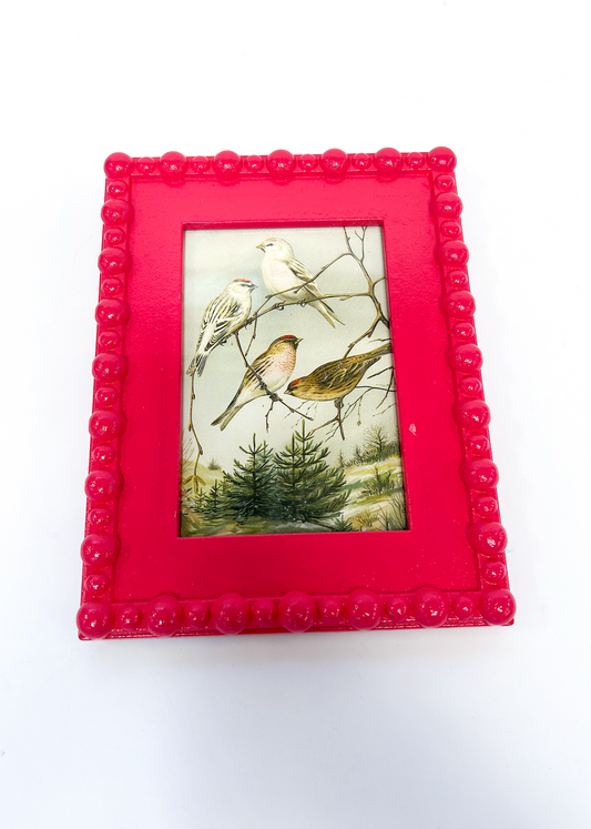 Red Border Picture Frame