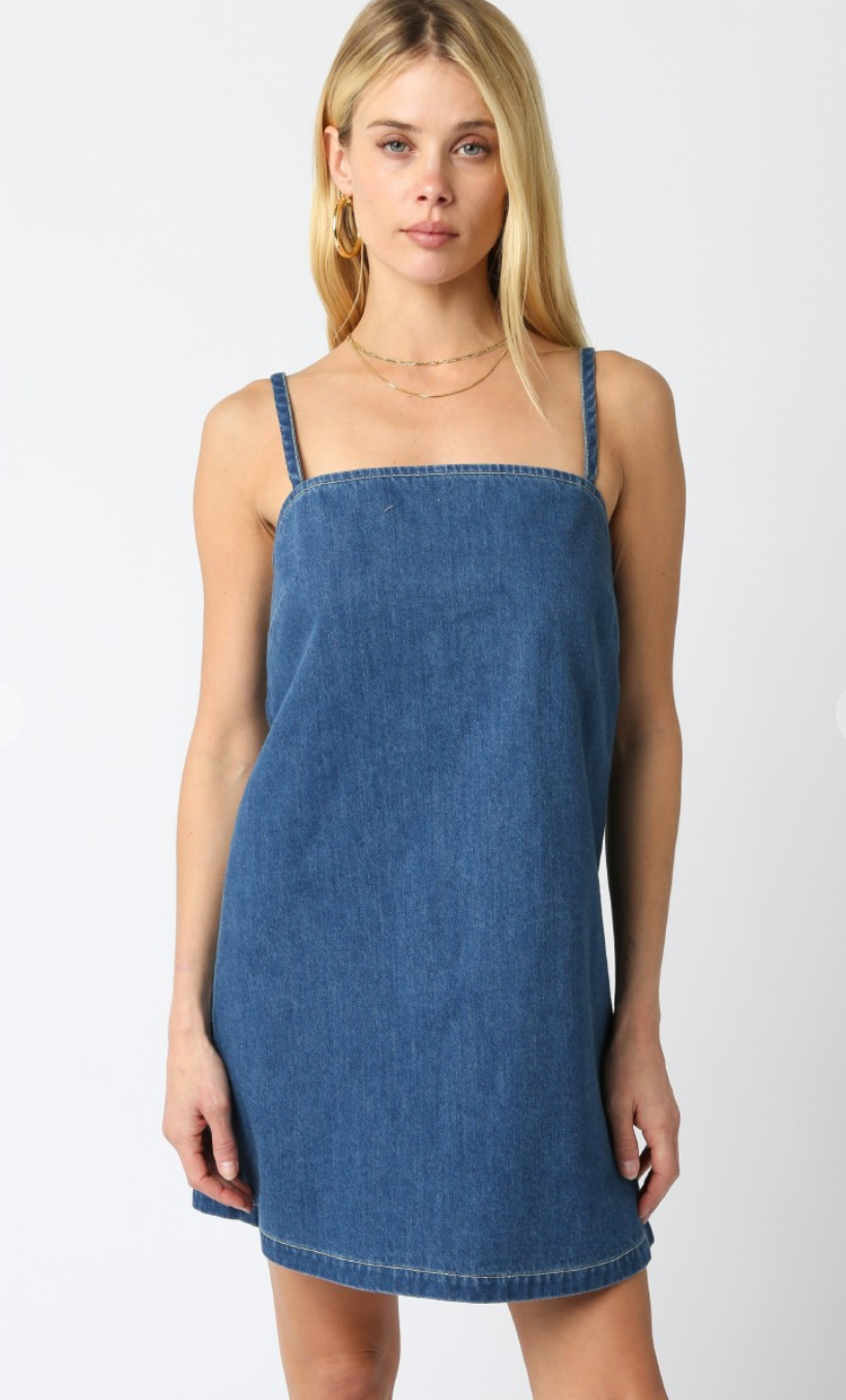 Audri Denim Shift Dress Audri Denim Shift Dress
