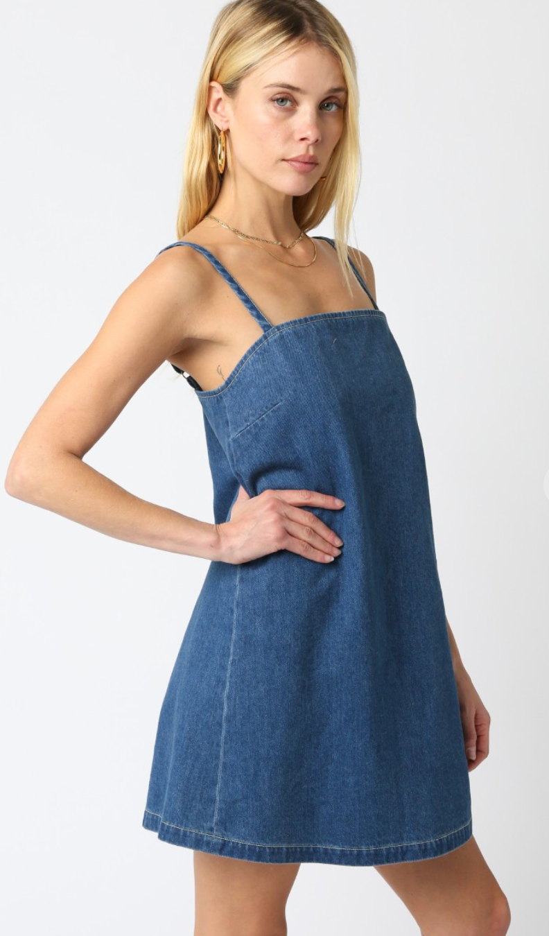 Audri Denim Shift Dress