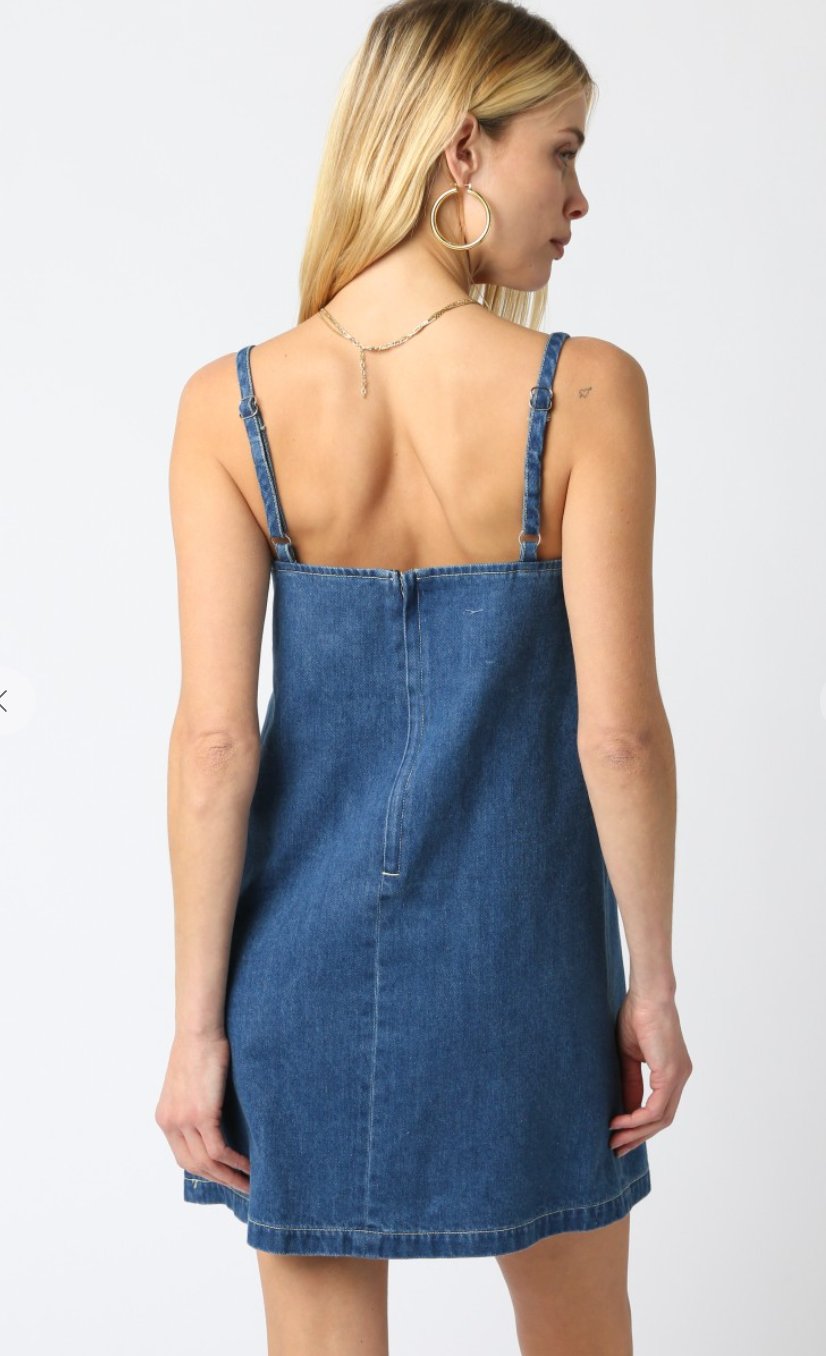 Audri Denim Shift Dress