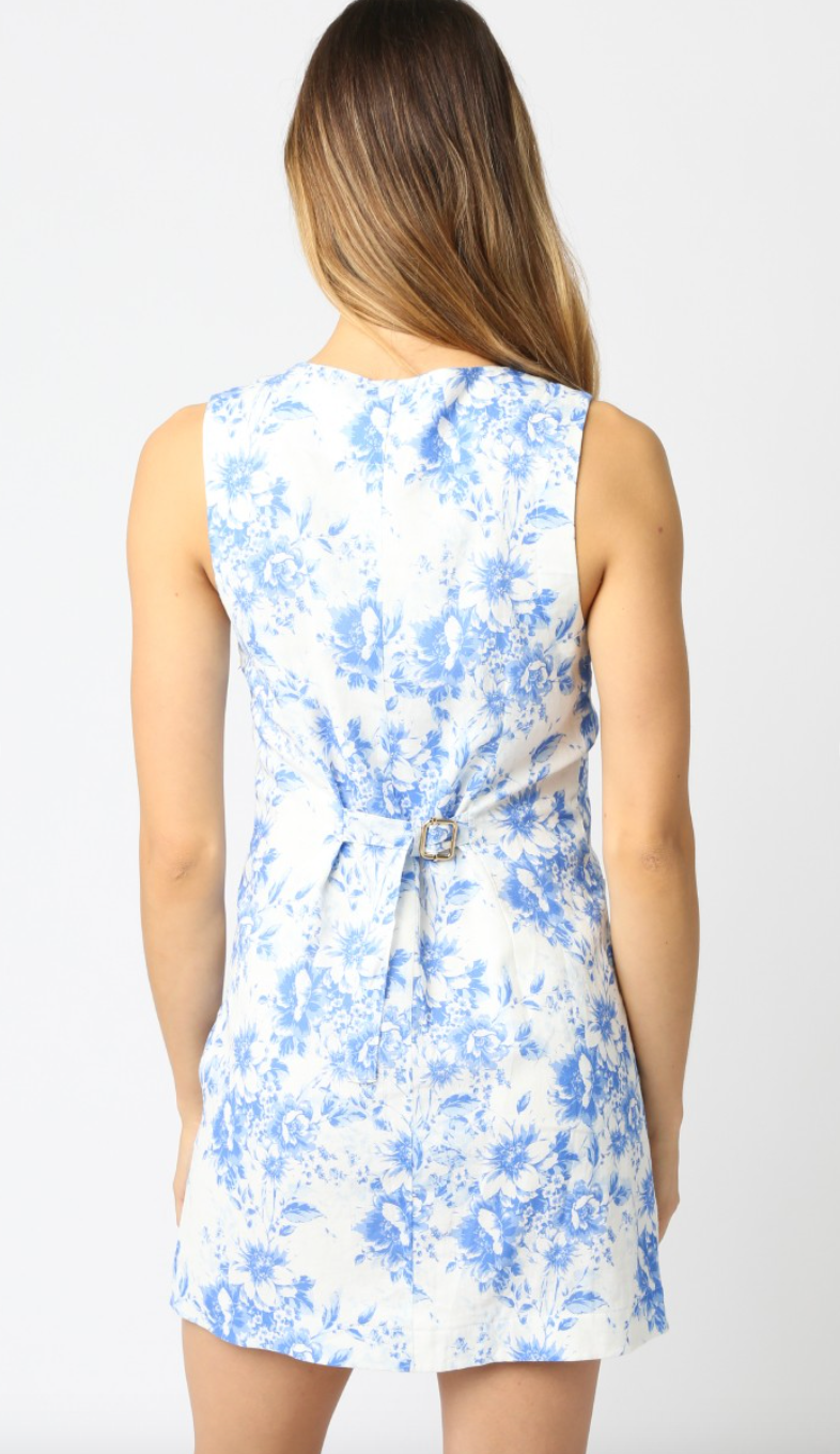 Alice Blue Floral Buttons Dress