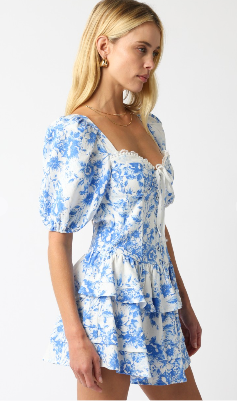 Alice Blue Floral Corset Dress