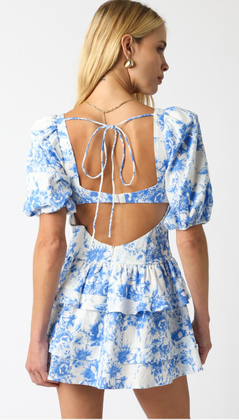 Alice Blue Floral Corset Dress