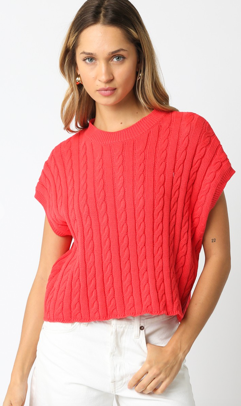 Eliana Sweater Top Coral