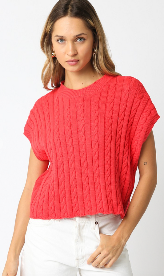 Eliana Sweater Top Coral