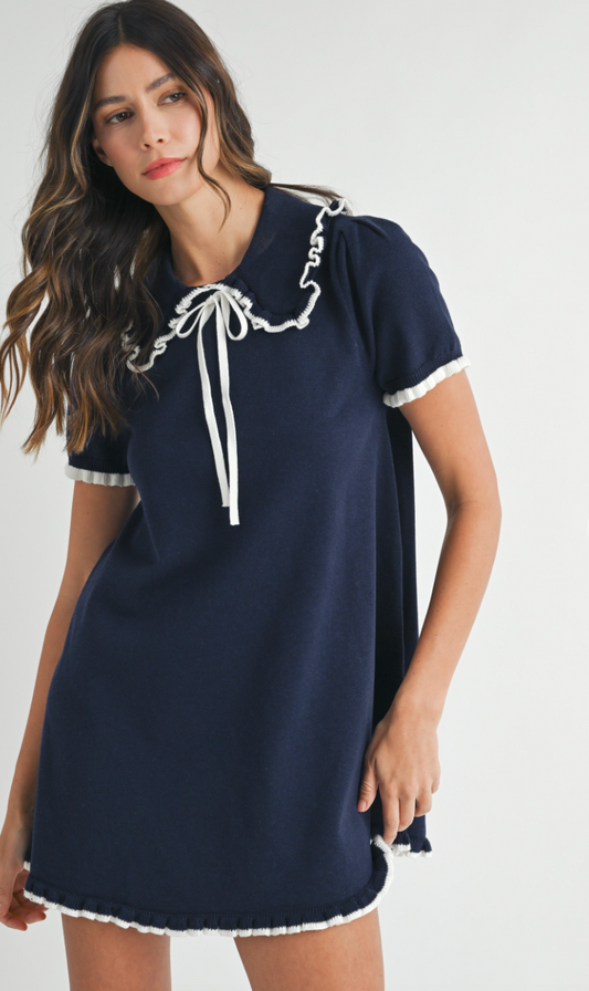 Madeline Navy Collar Knit Dress