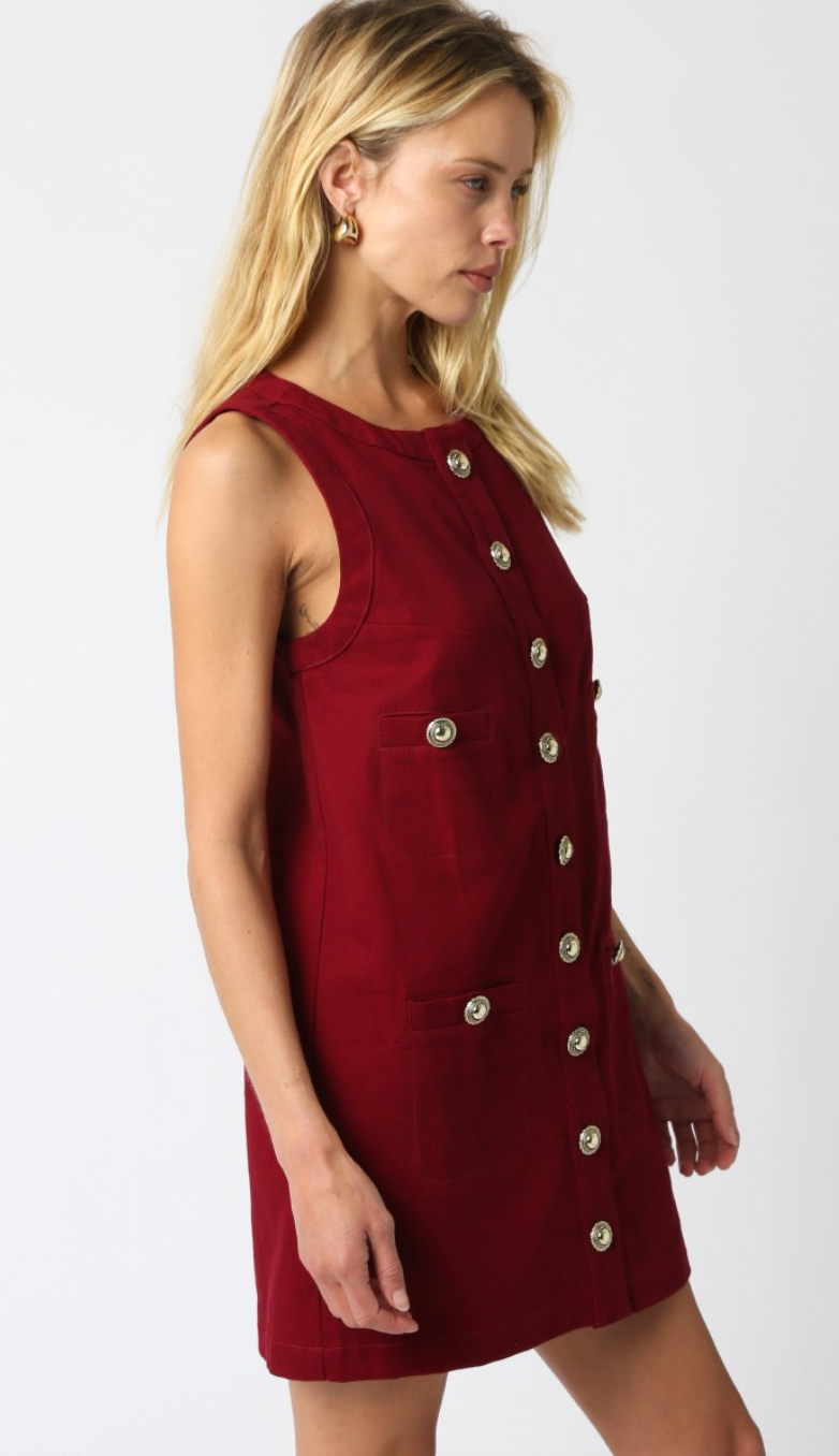 Karina Gold Button Dress Wine