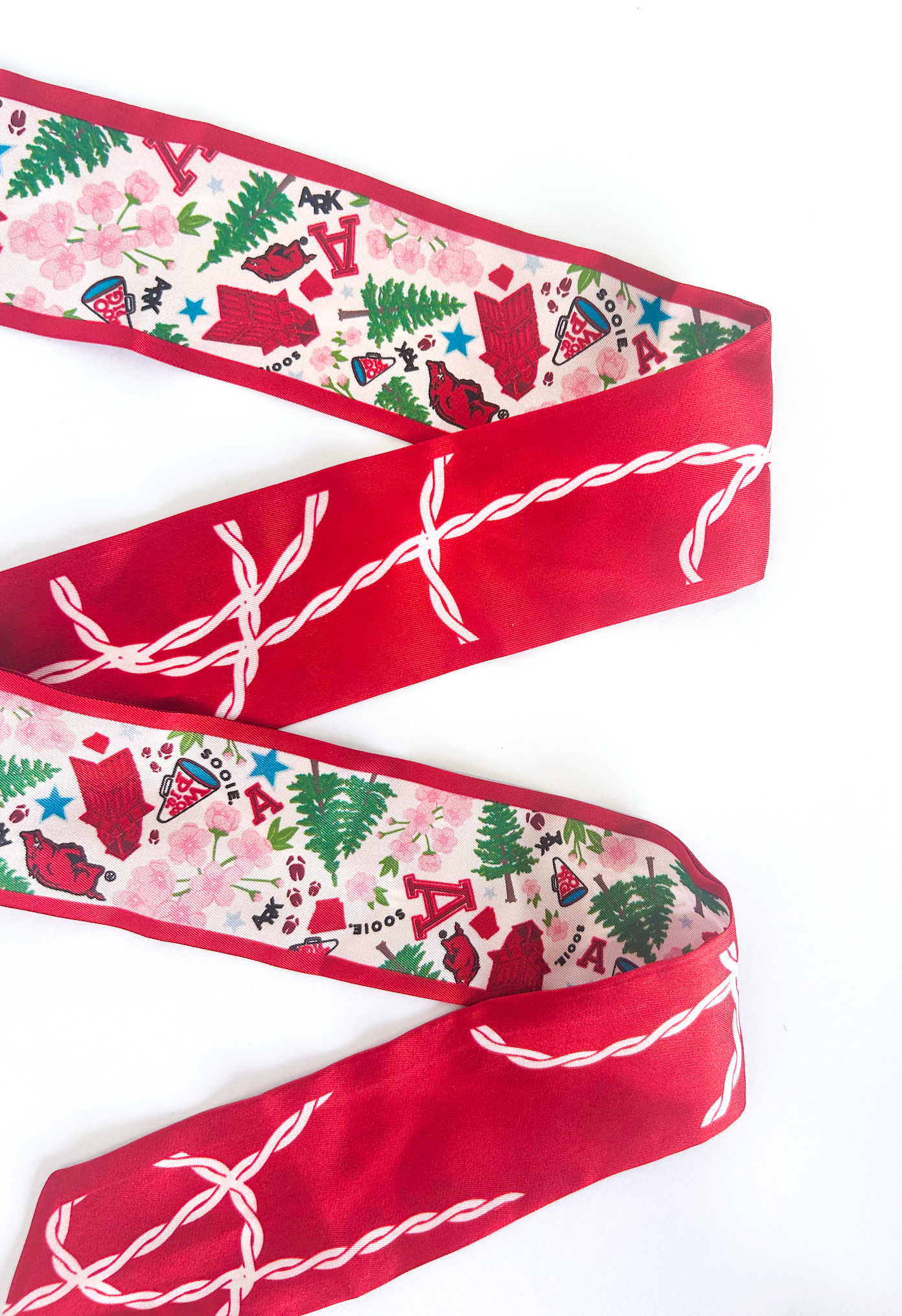 Arkansas Skinny Silk Scarf