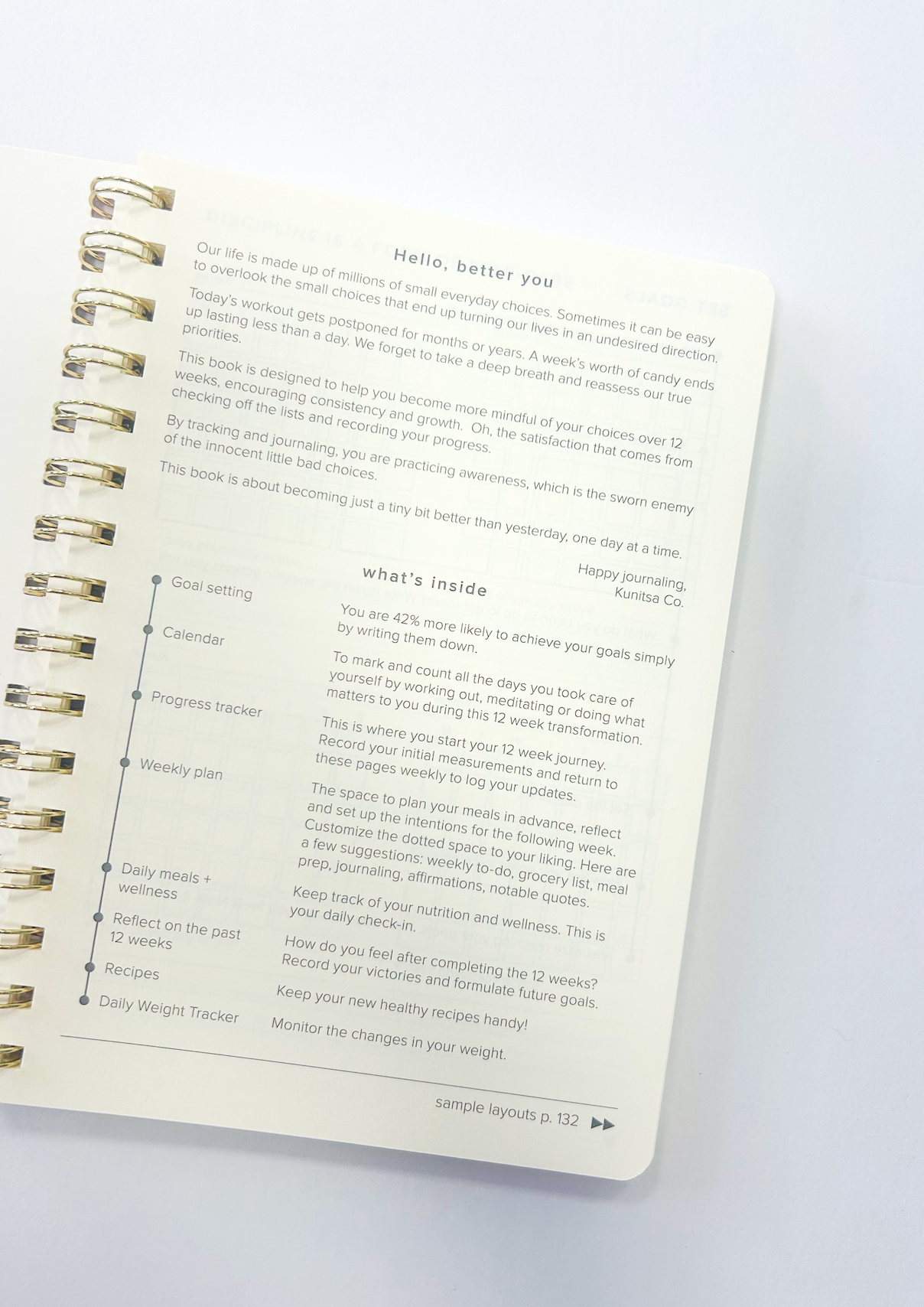 Food & Wellness Journal Pink