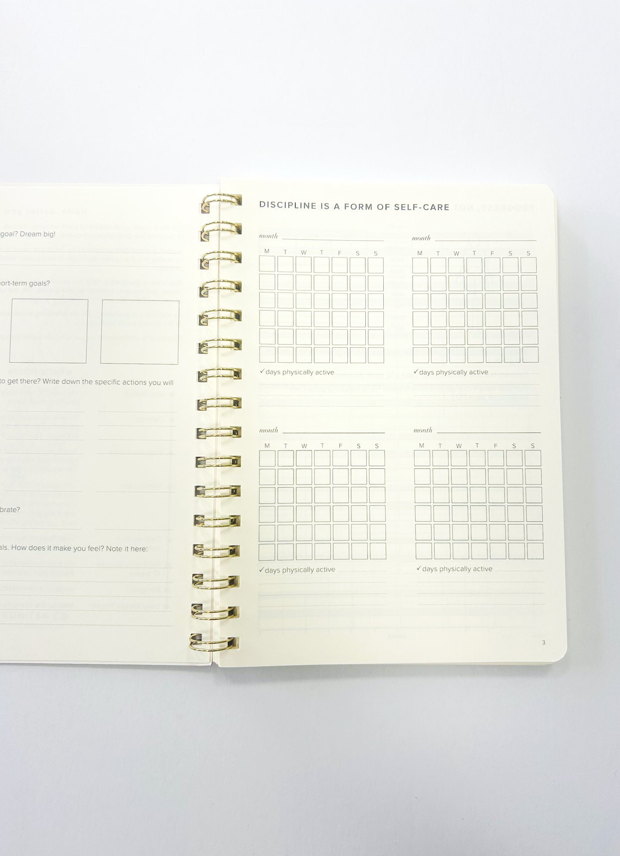 Food & Wellness Journal Pink