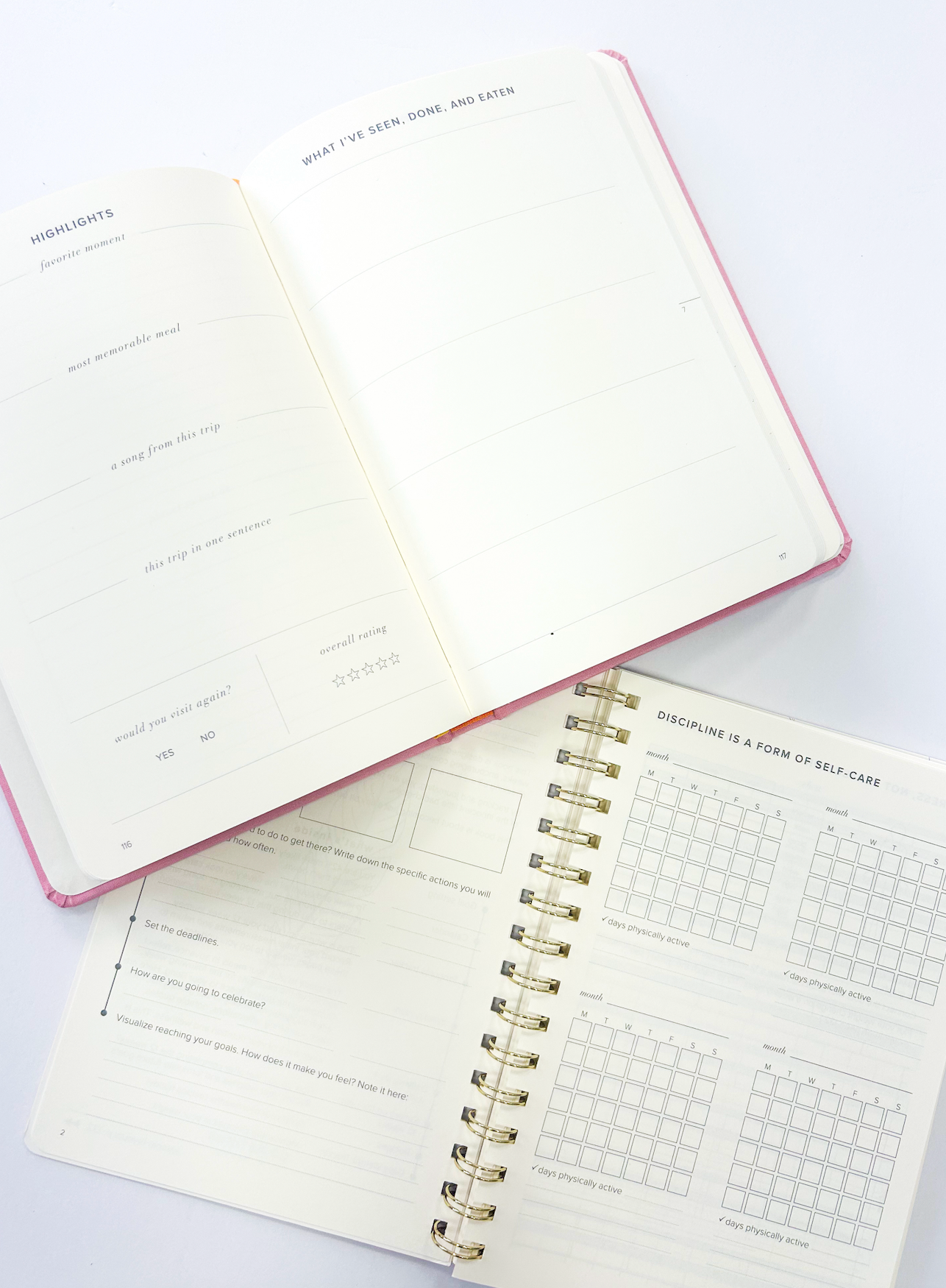 Food & Wellness Journal Pink