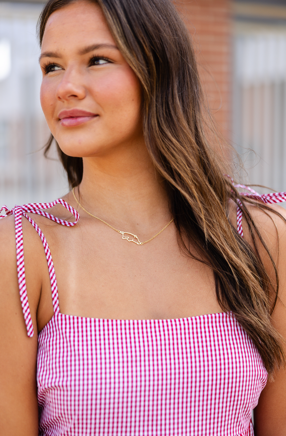 Outline Hogs Necklace Gold