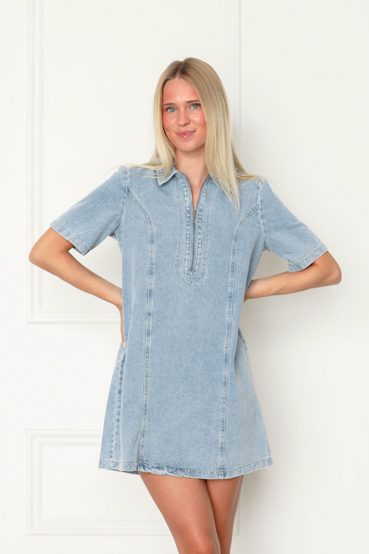 Ashton Light Wash Denim Mini Dress