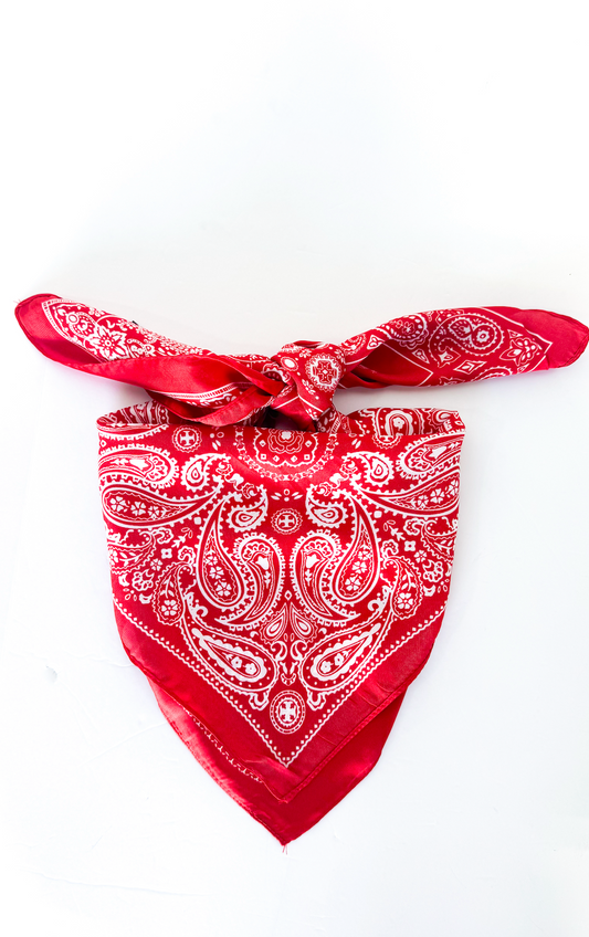 Red Paisley Satin Scarf