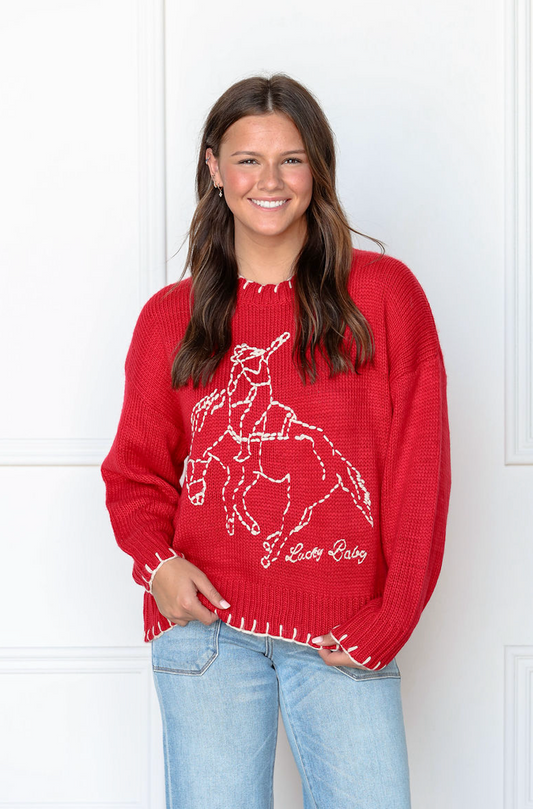 Lucky Baby Horse Sweater