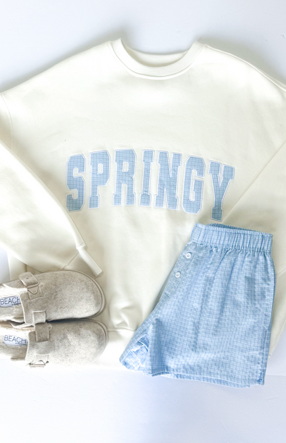 Springy Blue Gingham Sweatshirt - Clothe Boutique