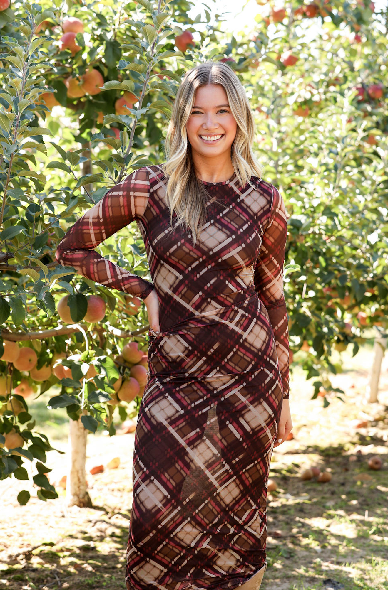Paula Checkered Mesh Maxi Dress
