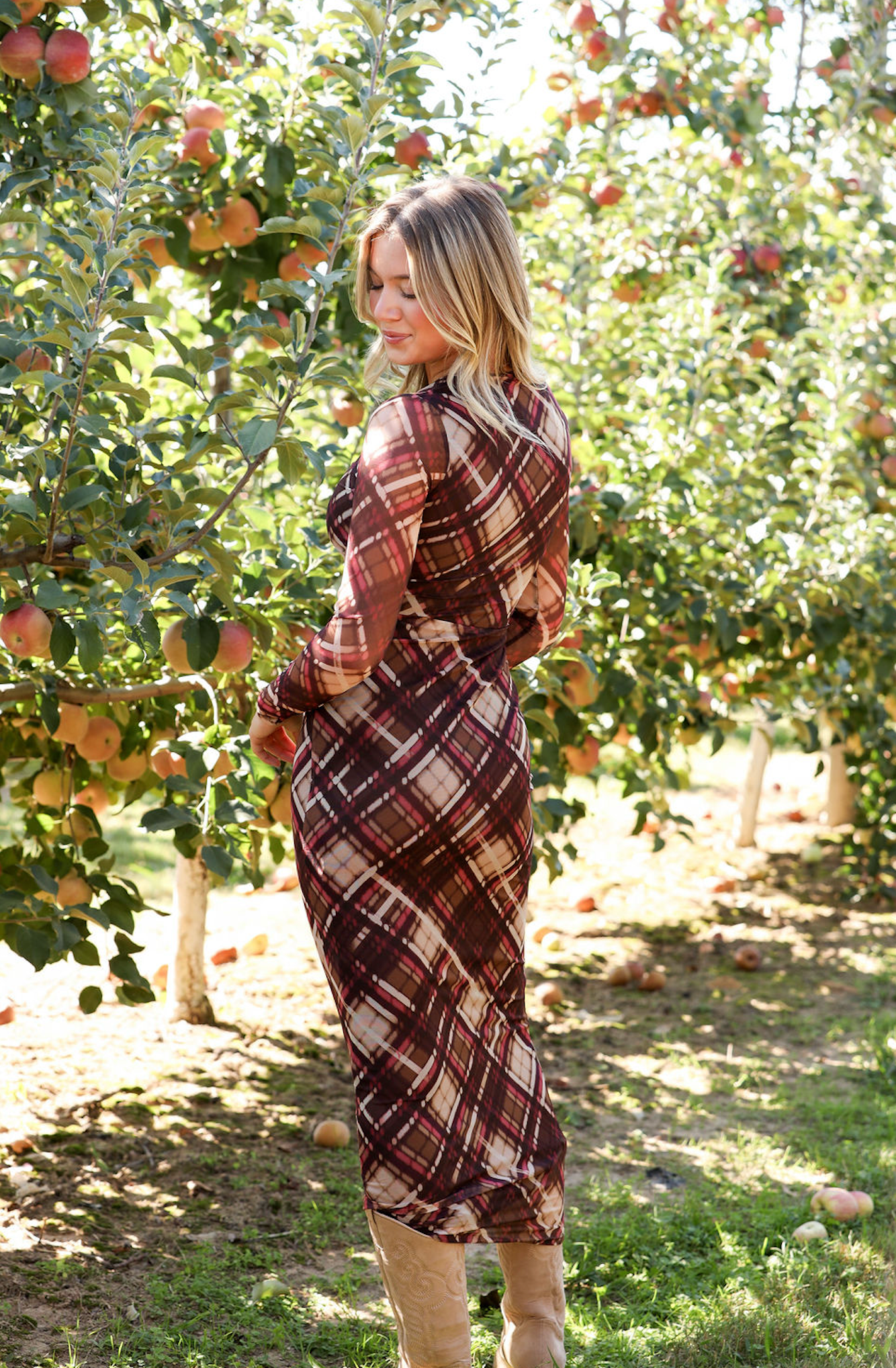 Paula Checkered Mesh Maxi Dress