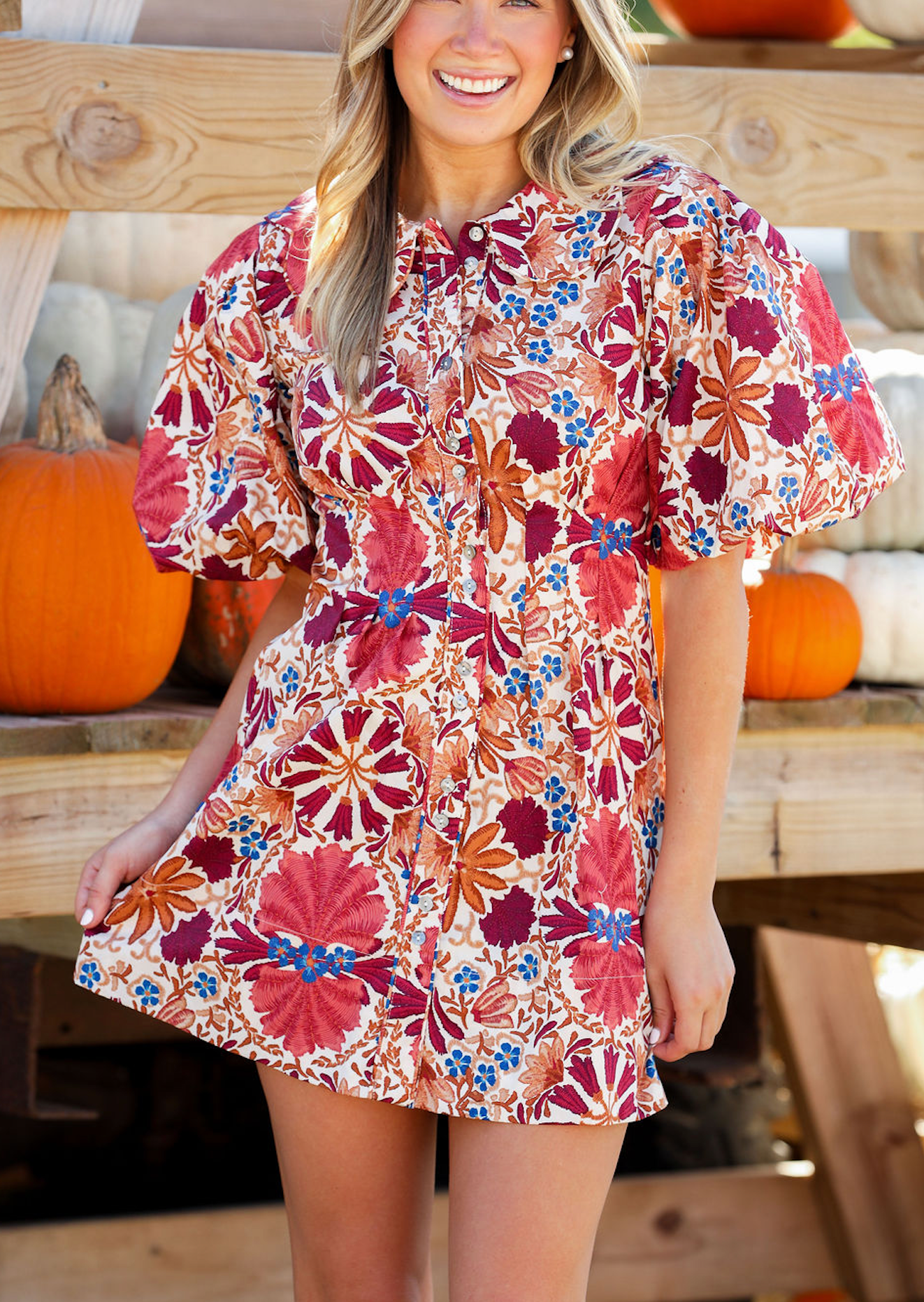 Iris Collared Poplin Dress