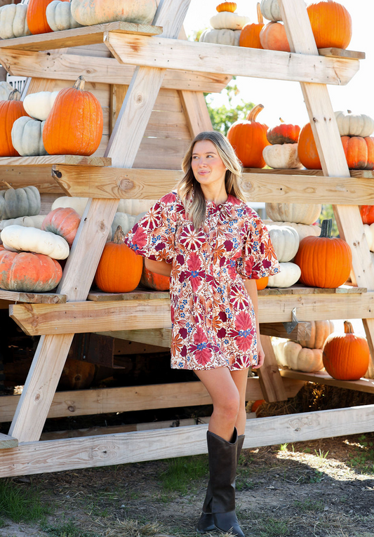 Iris Collared Poplin Dress