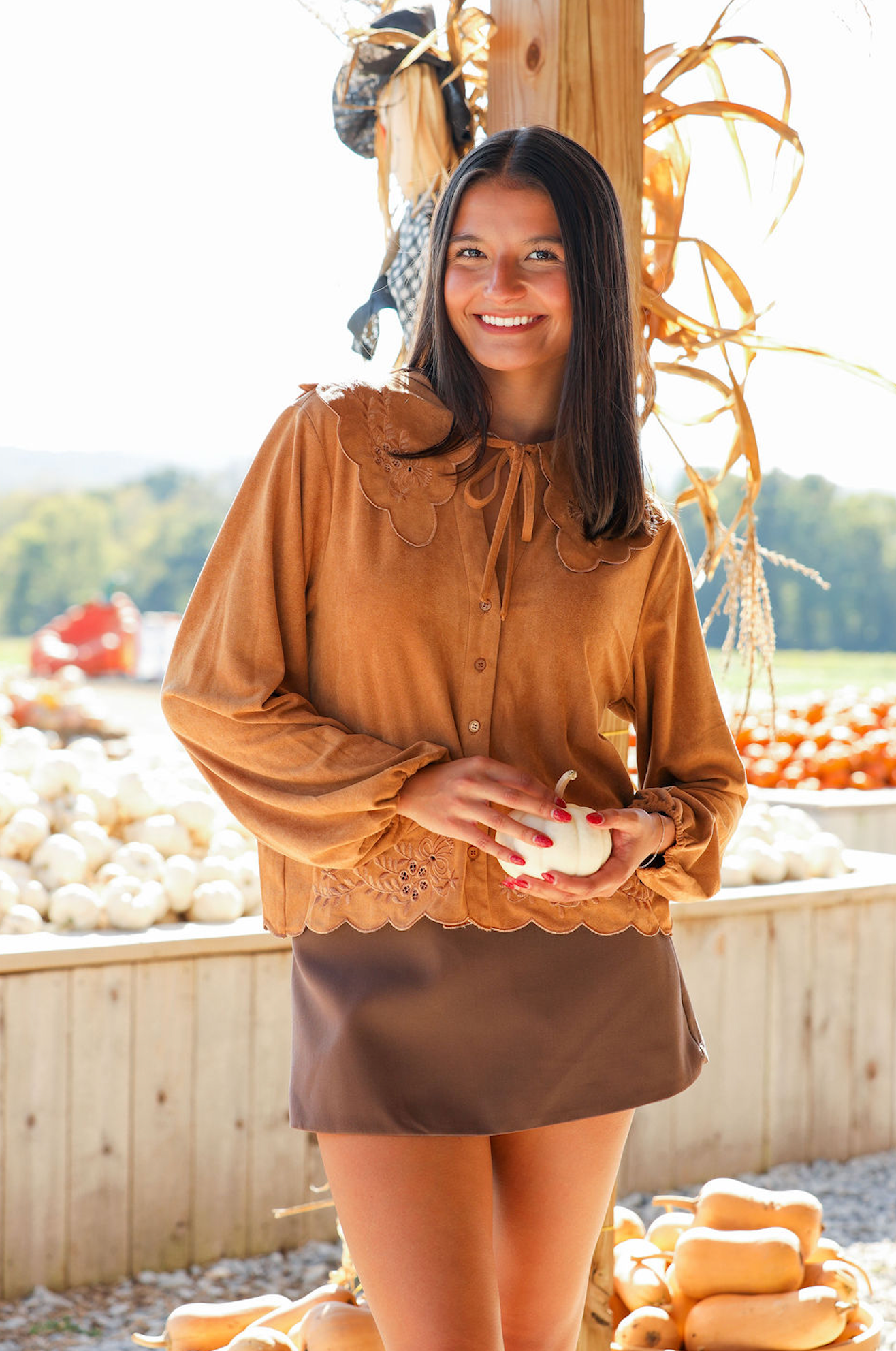 Embroidered Bib Collar Long Sleeve Blouse