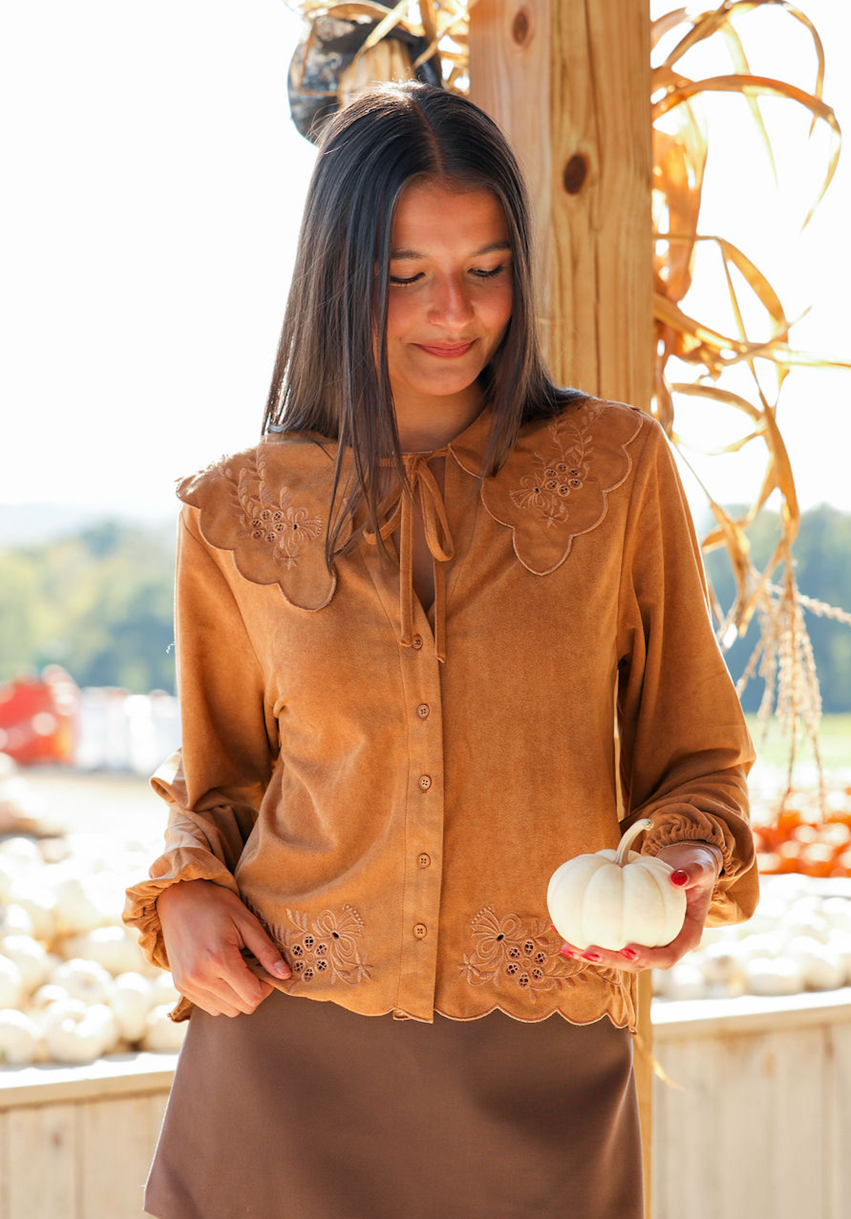 Embroidered Bib Collar Long Sleeve Blouse