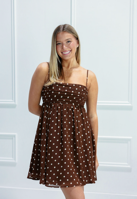 Brown Polka Dot Sheer Mini Dress