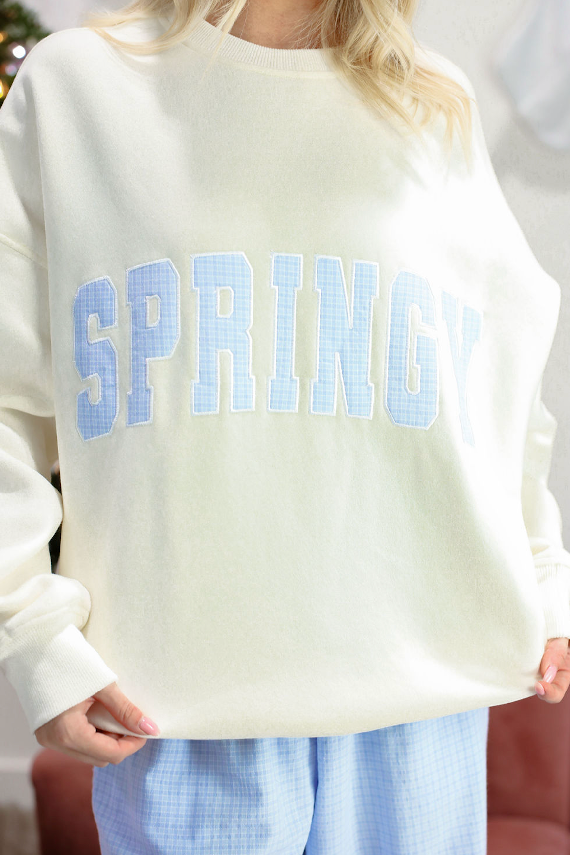 Springy Blue Gingham Sweatshirt