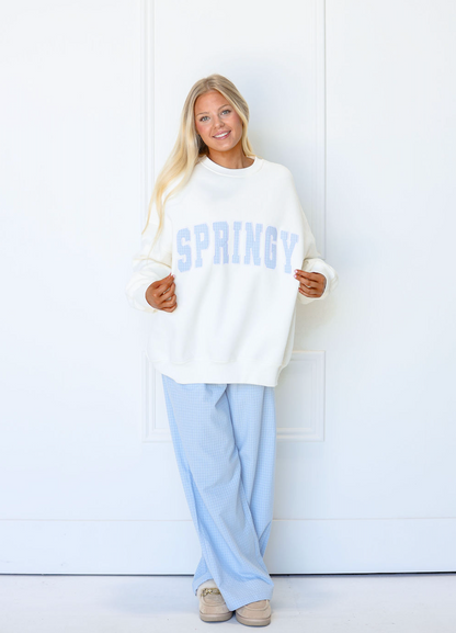 Springy Blue Gingham Sweatshirt - Clothe Boutique