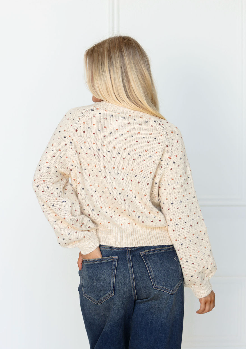 Multi Color Dotted Cardigan