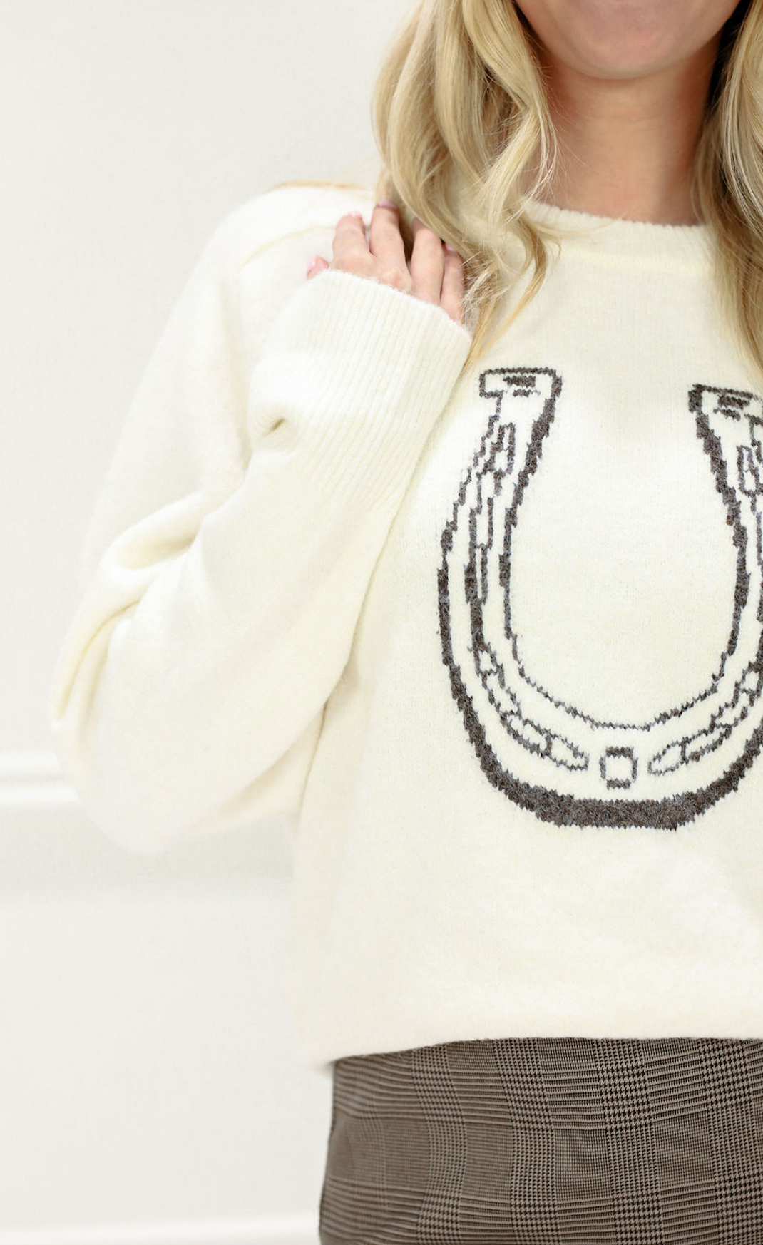 Horse Shoe Embroidered Sweater