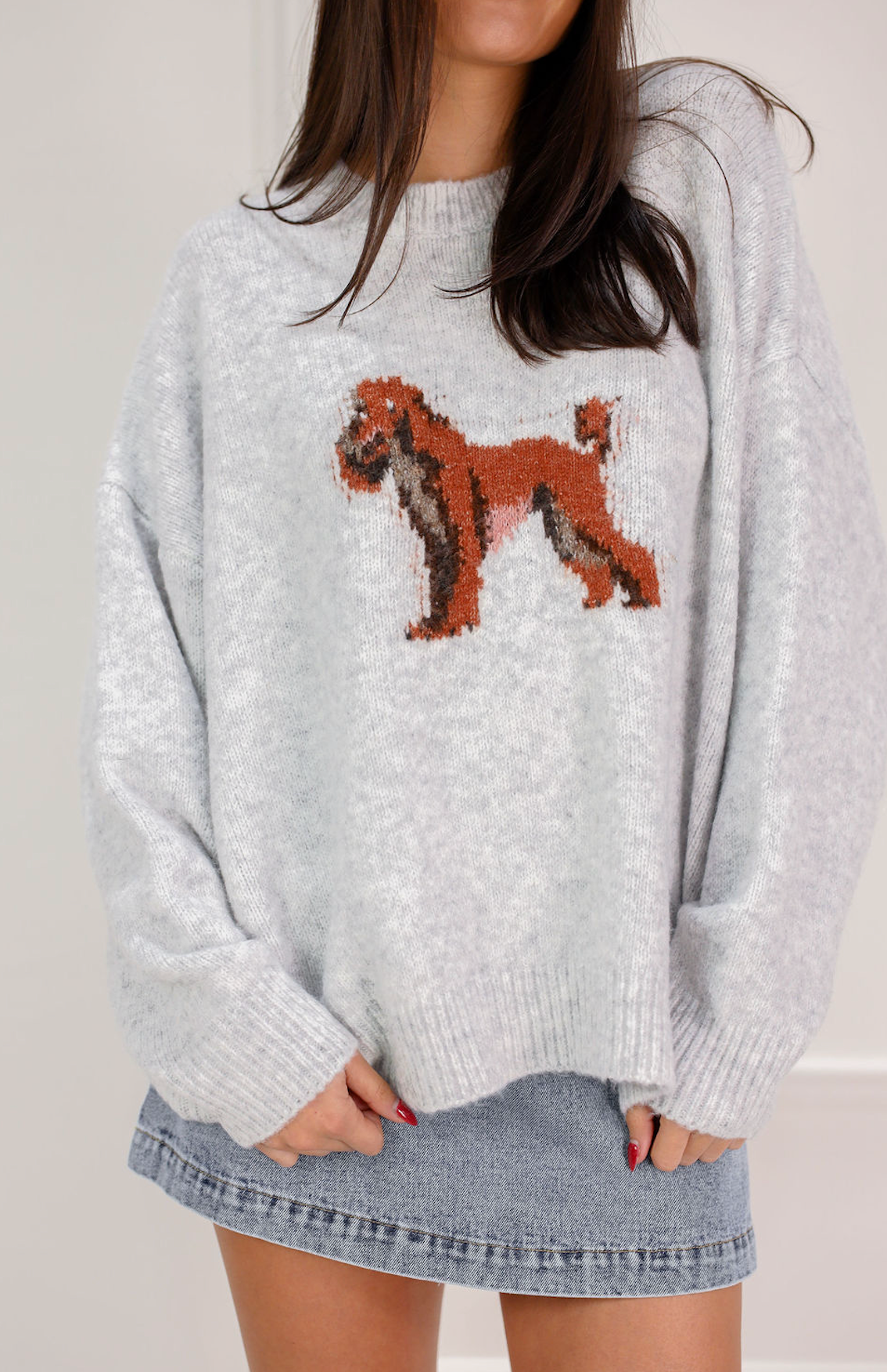 Doggie Sweater