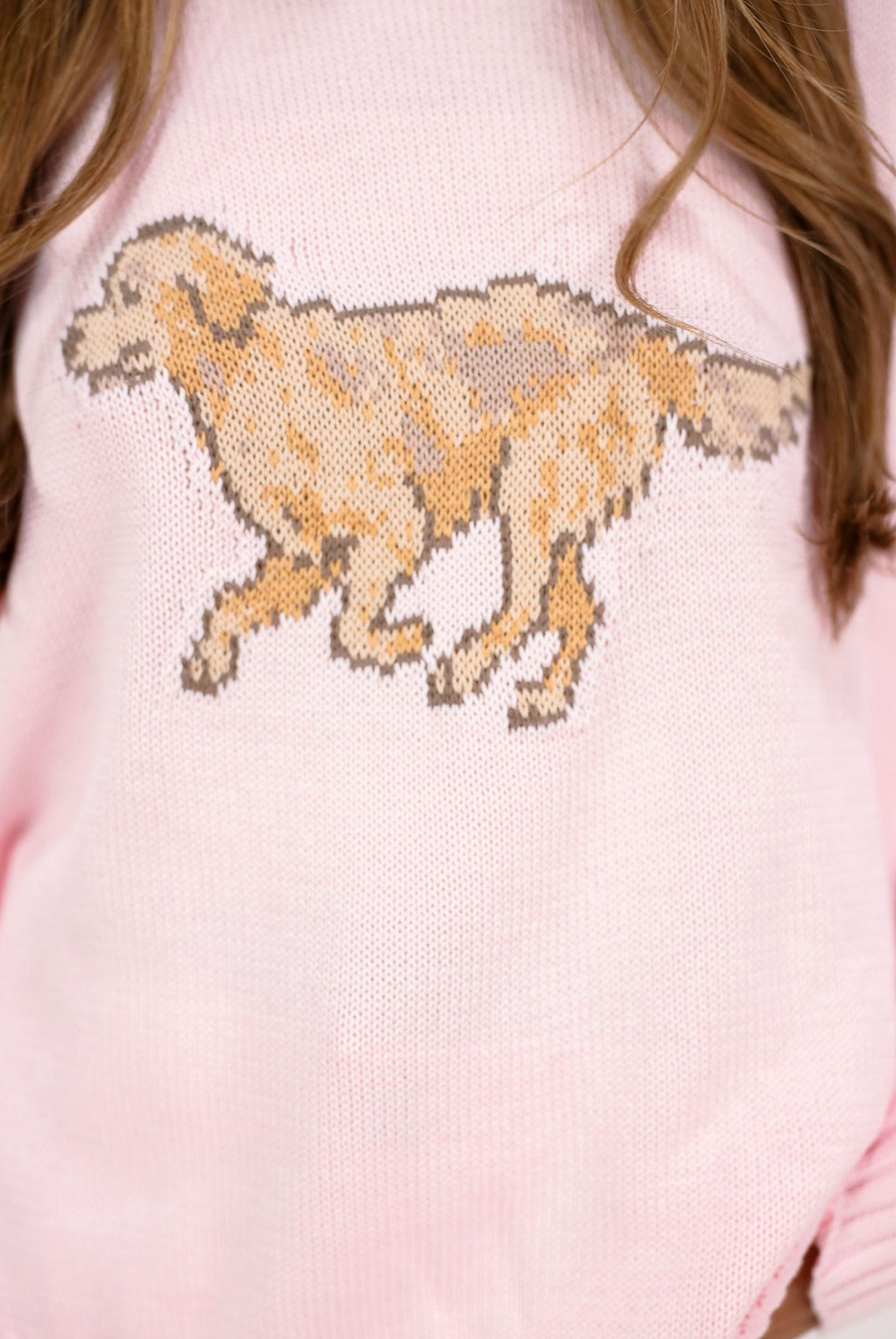 Go Fetch Pink Sweater