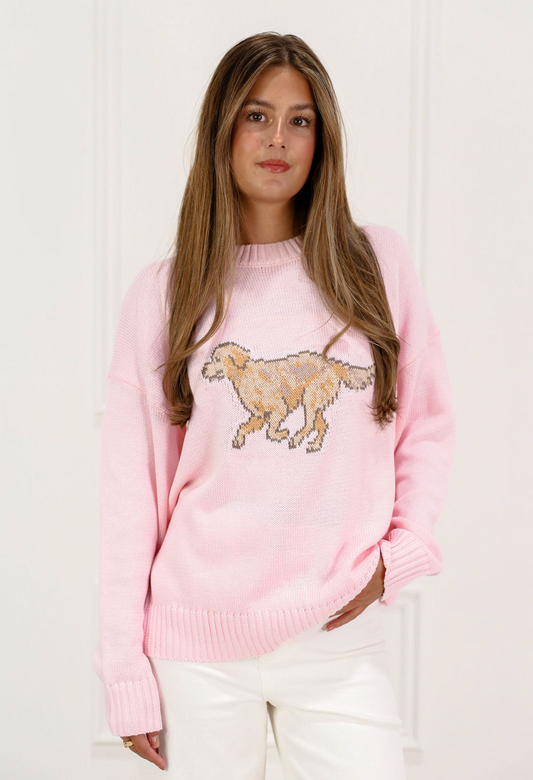 Go Fetch Pink Sweater