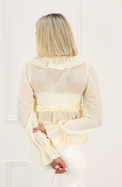 Mesh Butter Ruffle Blouse
