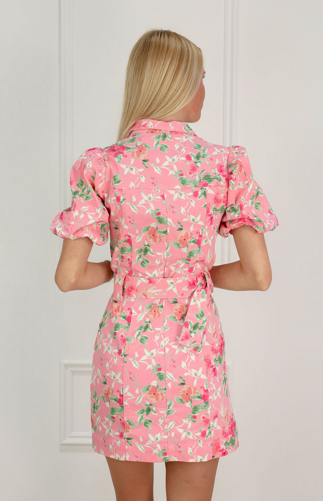 Lydia Floral Belted Button Dress